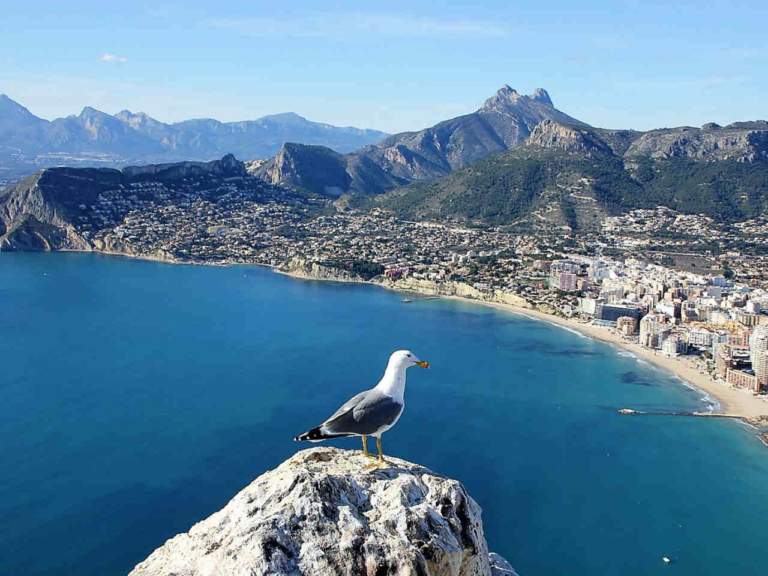 Blick auf Alicante Blick auf Alicante
