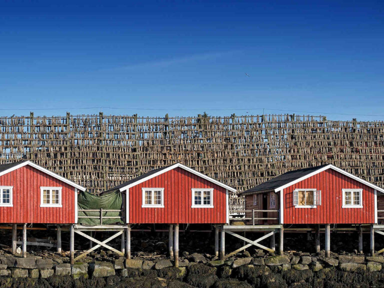 Stockfischgestelle in den Lofoten