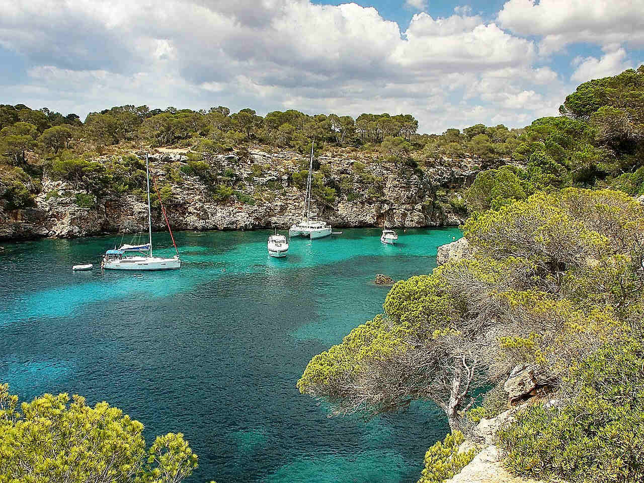 Bucht Cala Pi auf Mallorca